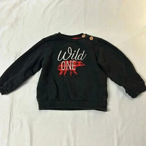 The Littlest - long sleeve pullover sweater/sweatshirt. Size 18-24 months